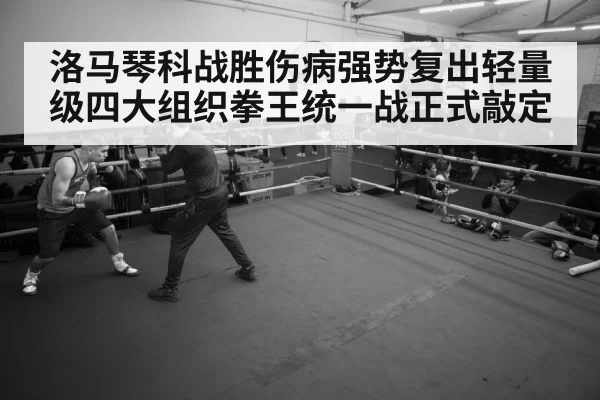 boxer training gym