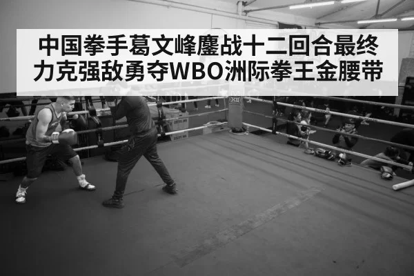 中国拳手葛文峰鏖战十二回合最终力克强敌勇夺WBO洲际拳王金腰带