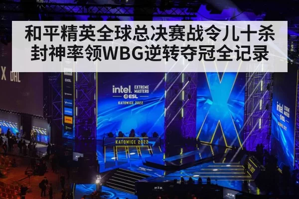 和平精英全球总决赛战令儿十杀封神率领WBG逆转夺冠全记录